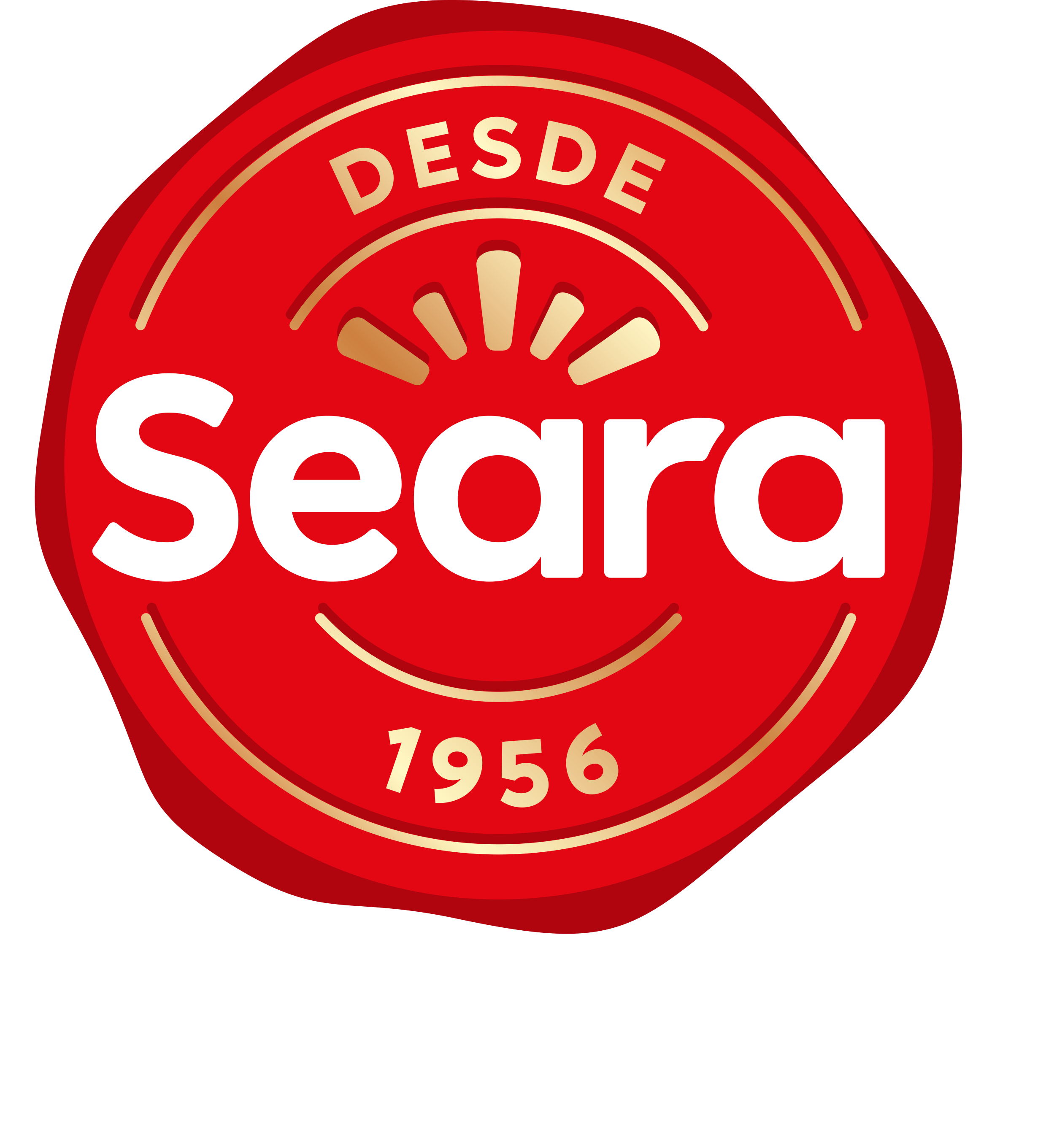 Seara Gourmet