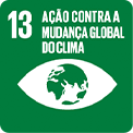 13-acao-mudanca-global-clima