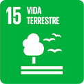 15-vida-terrestre