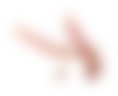 Jerked Suíno
