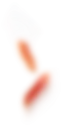 Jerked Suíno