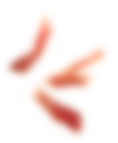 Jerked Suíno
