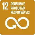 ODS 12 - Consumo e Produção Sustentáveis