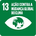 ODS 13 - Ação Contra a Mudança Global do Clima