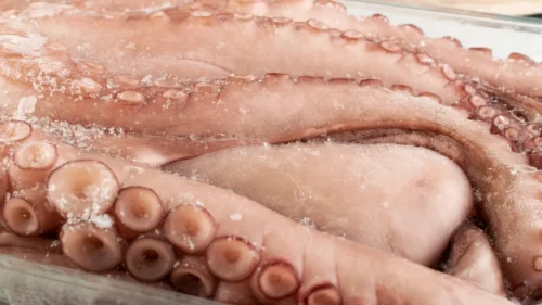 Como cozinhar polvo congelado? Veja dicas simples
