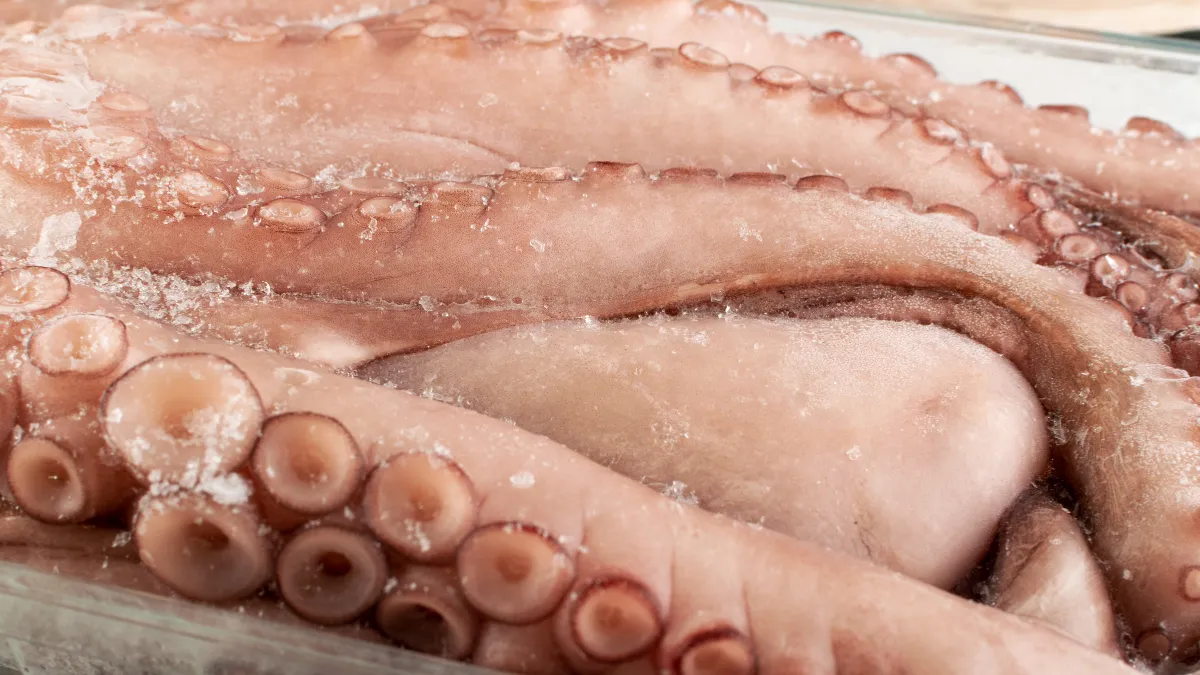 Como cozinhar polvo congelado? Veja dicas simples