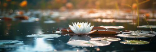 Jantar temático de White Lotus é servido no hotel onde a série foi filmada