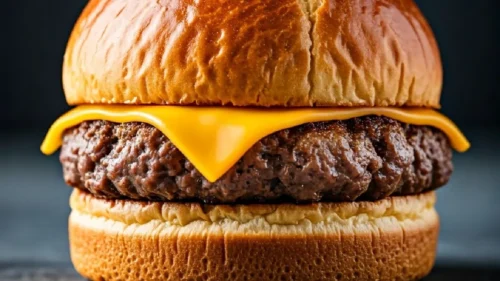 Qual a melhor carne para fazer hambúrguer?