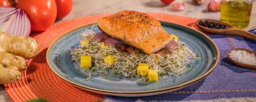 Salmão na airfryer